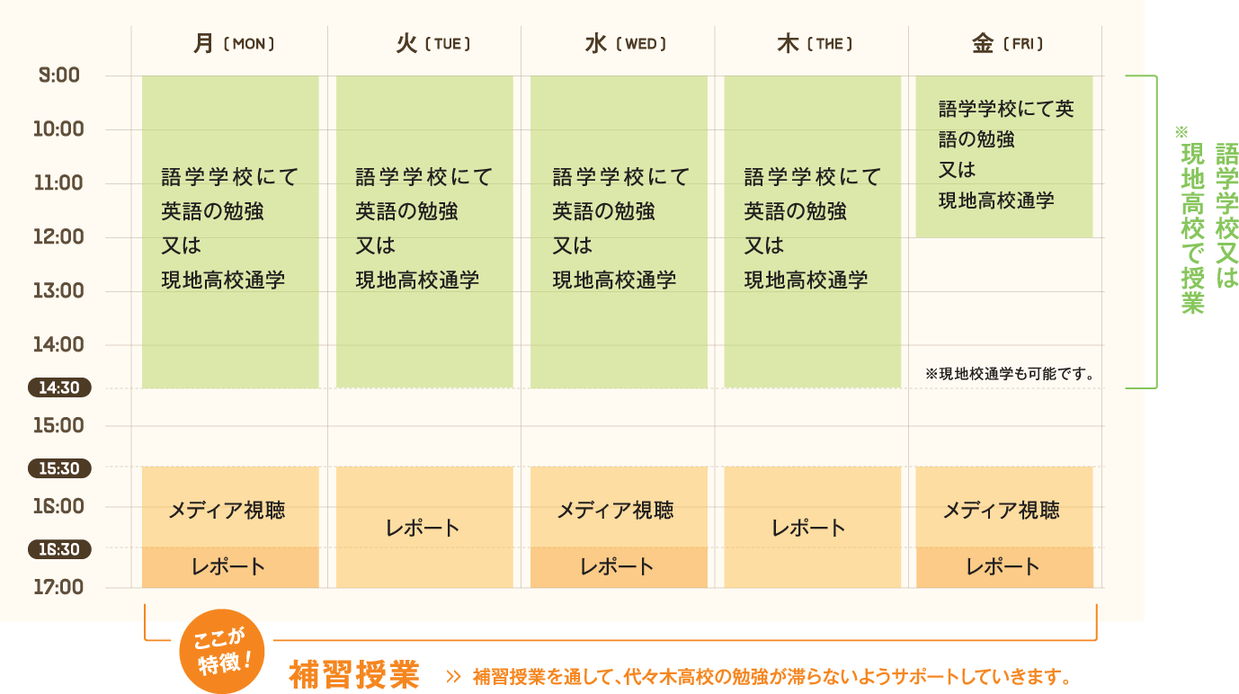 語学学校又は現地校での授業が終わった後、代々木高校の勉強が滞らない様補習授業を行ないます。